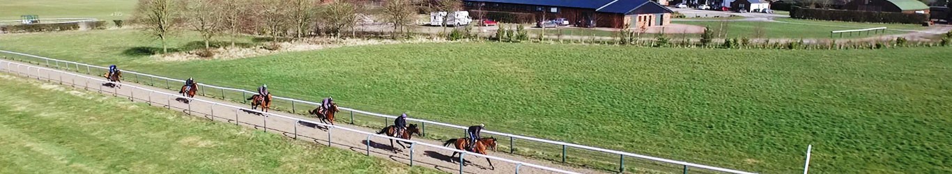 ideal recruit sponsor manor house stables 3